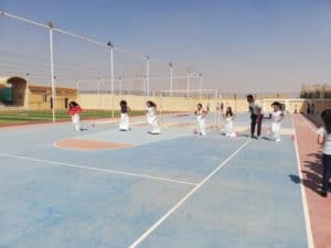 مدرسة فالكون للغات