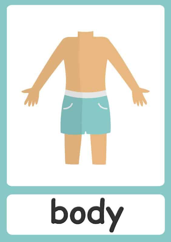 اجزاء الجسم ورك شيت - Body Parts Worksheet